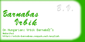 barnabas vrbik business card